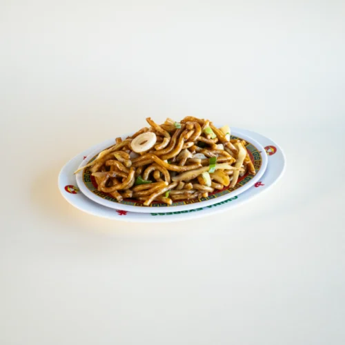 Pâtes udon
